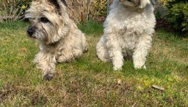 MÜRITZ-BRISE - Foto 3