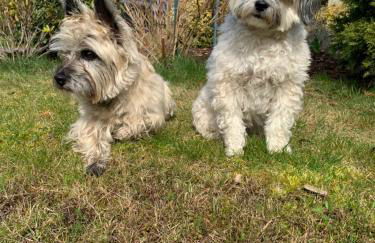 MÜRITZ-BRISE - Foto 3