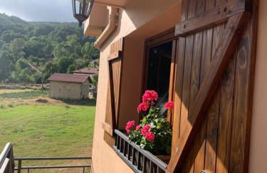 El Hoyaco - Photo 14