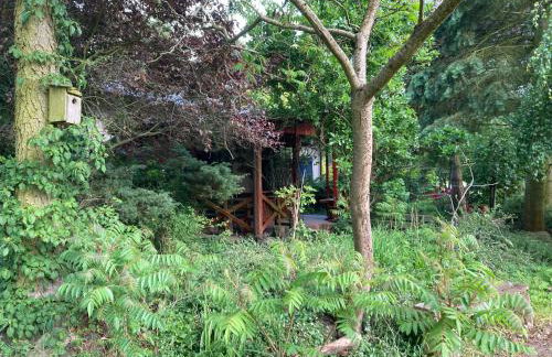 Chata pod Żurawiem - Foto 3