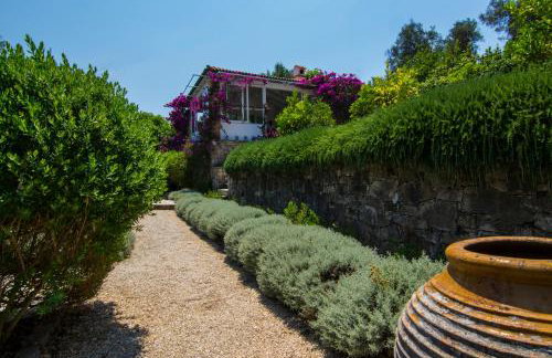 Kiparissi - Photo 64