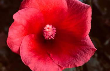 Resort Capo Bianco - Foto 60