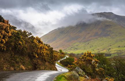 Pheasant Lodge Scottish Borders - Foto 63