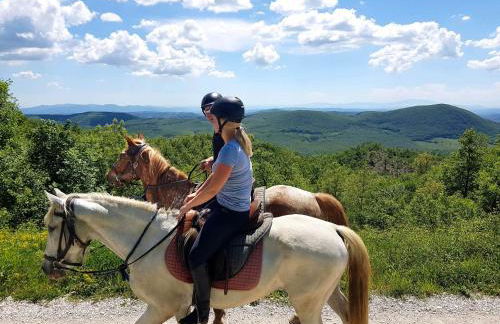 Hotel Rifugio Prategiano - Foto 10
