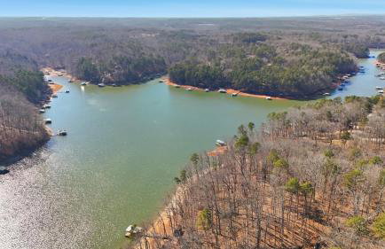 The Sapphire Shore Cottage with Dock! home - Foto 26