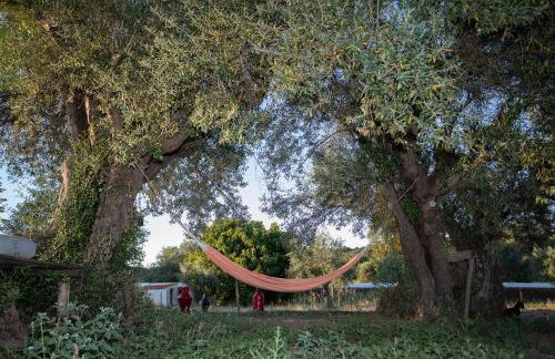 Herdade da Yucca - Retreat & Spa - Foto 79