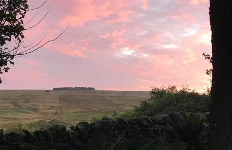 Elishaw Farm Holiday Cottages - Foto 38