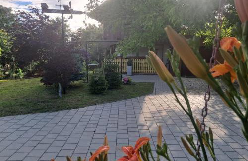 Paun - Photo 21