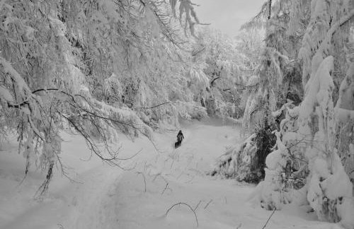 Krolowo Apartment - Photo 30