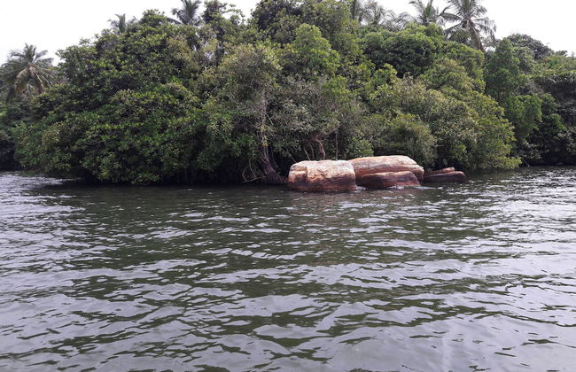 Serene Vista Villa - Foto 40