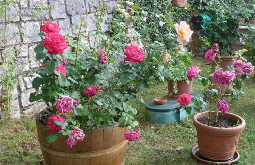 Casa Titty - Foto 21