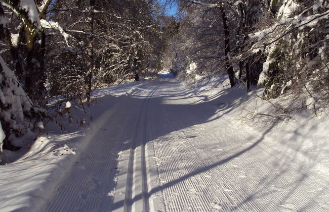 Ferienhaus in Winterberg- Atlastenberg - Foto 44