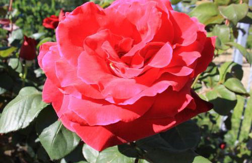 Agriturismo La Vecchia Fonte - Foto 34