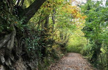 Casa Folibar - Foto 24