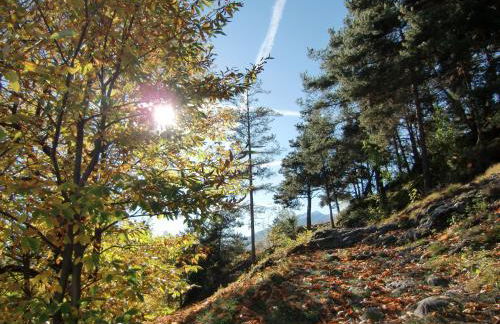 Baumgartnerhof - Foto 44