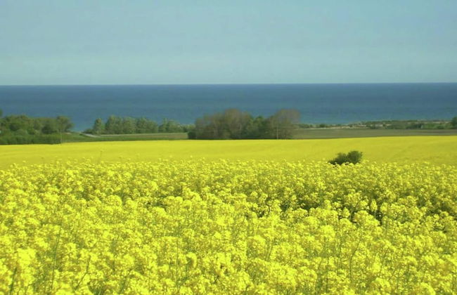 Cozy Apartment in Kägsdorf near Sea - Foto 35