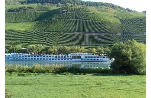 Holiday Apartment Moselle Beach 1 - Foto 25