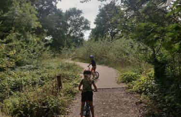 Calm & Cosy (sleeps up to 6) - Oakdene Forest Park - Foto 14