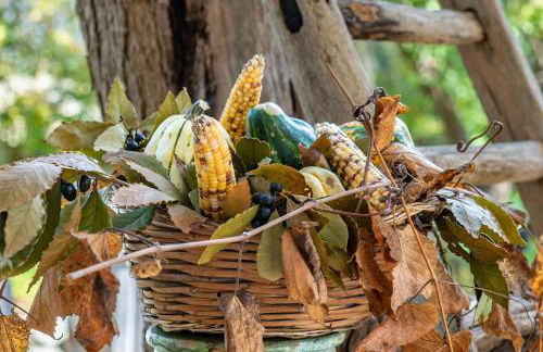 L'Aia di San Giorgio - Foto 55