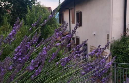 Il Giardino di Berbech Città Alta - Foto 28