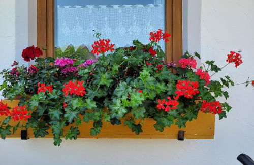 Ferienwohnung bei Helga - Foto 26