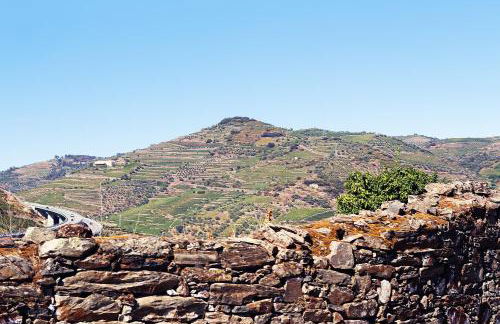 Quinta da Pitarrela - Foto 26