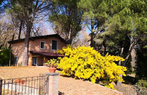 Feudo Algerazzi - Foto 5