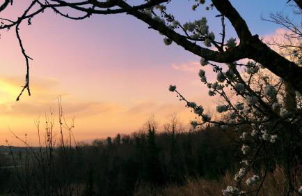 Agriturismo L'isola - Foto 57