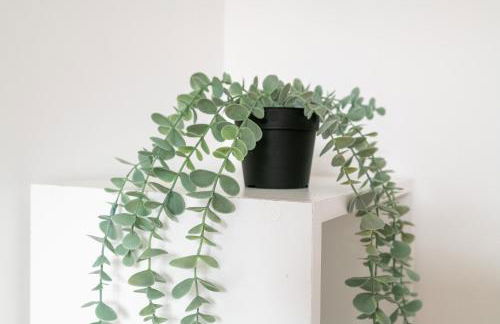 Malaka Home Anzin - Foto 36