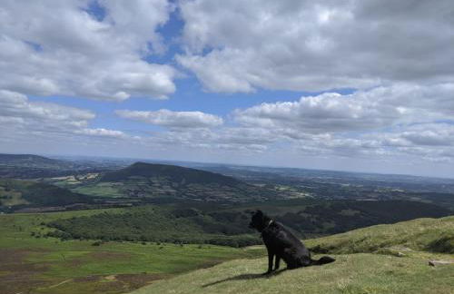 The Bothy at Oak Farm - Foto 34