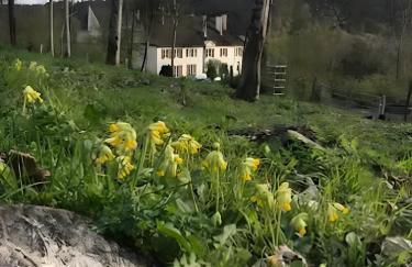 Domaine du Val Bruant - Foto 15