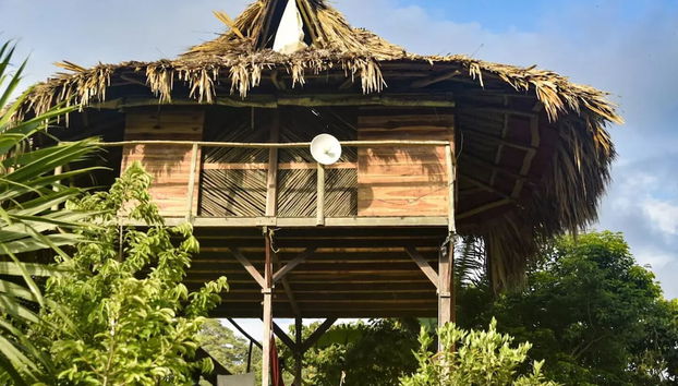 Taorayiná nature reserve - Foto 3, Habitación