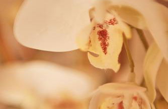 Case Vacanza Torre Canne - Foto 76