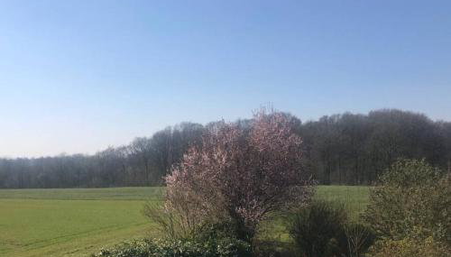 Ferienwohnung auf dem Land und trotzdem stadtnah. - Foto 2, Garden