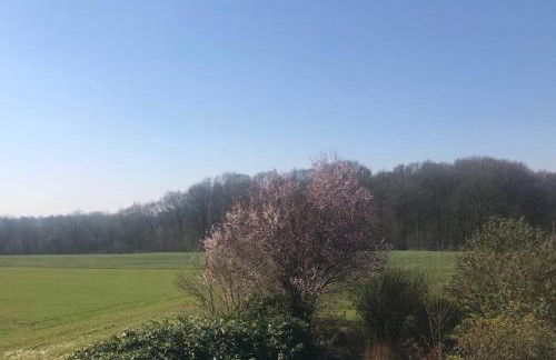 Ferienwohnung auf dem Land und trotzdem stadtnah. - Foto 2