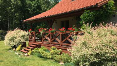 Dom w Sąpach - Foto 3