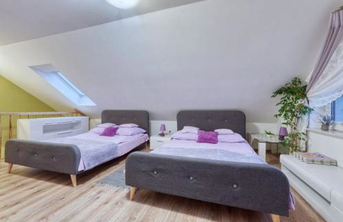 Nowy Domek Pod Kogutkiem - Foto 13