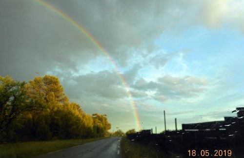 Gite chez mamiyo gallargues le montueux - Foto 15