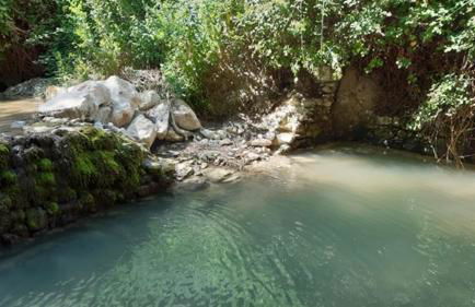 Le Vieux Moulin - Foto 8