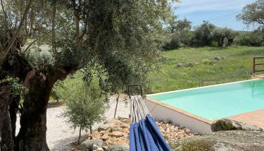 Almojanda 3 olive tree - Foto 4