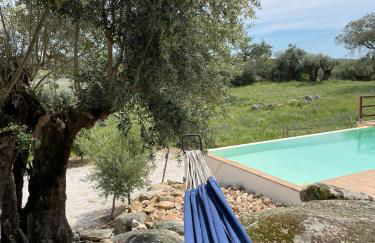 Almojanda 3 olive tree - Foto 4