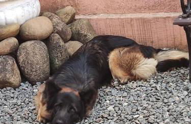 Cantinho do sossego - Photo 12