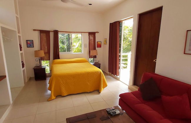 Mini Pini Birdwatching and Cenote Loft4 you Only - Foto 3