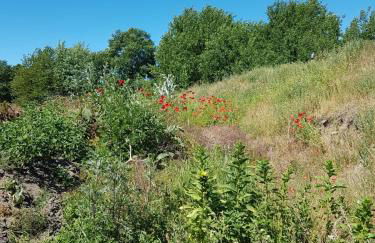 Ferienhäuschen - Foto 26