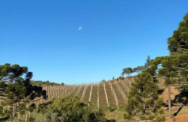 Tenuta Bergamaschi - Foto 36