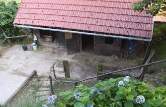 Robinson Horseville - Foto 21