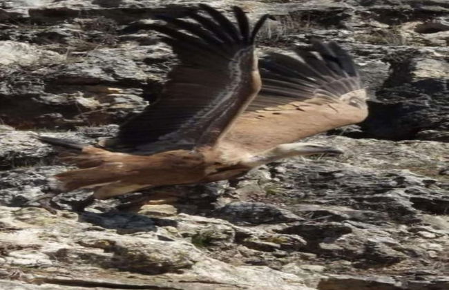 Cave House in Cullar Near Tabernas Desert - Foto 26