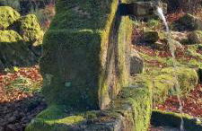 A CASA DO BUXO - Foto 42