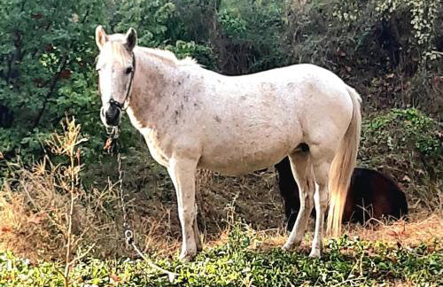 Studio Wilem - Foto 19