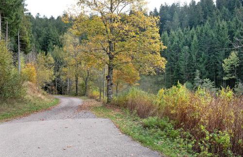 Atelier-Loft im Hübschental - Foto 29